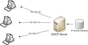 Pengertian DHCP Dan Fungsinya